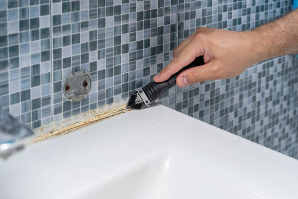 Best Mold Remediation Services  in Gilbert, MN